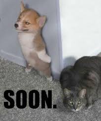 Resultado de imagen para SOON