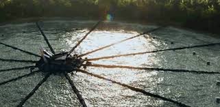 GIF catching fire - animated GIF on GIFER