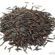 Wild rice