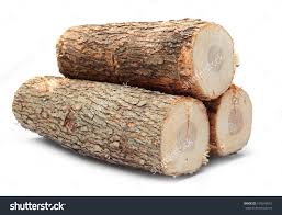 Znalezione obrazy dla zapytania log