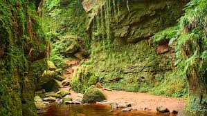 Scotland’s ‘Grand Canyon’ is up for sale – and could become a major tourist attraction
