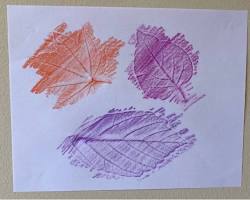 Leaf rubbings nature art craft