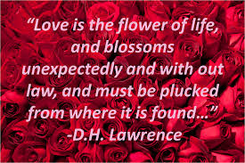 Image result for valentine images for friends