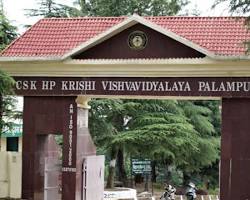 Image of Research at Chaudhary Sarwan Kumar Himachal Pradesh Krishi Vishvavidyalaya
