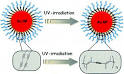 Role of capping agent in the synthesis of Silver Nanoparticles