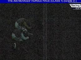 "It was too dark for the photo" - Harry Redknapp's trainer accepts defeat after chaotic Cheltenham race