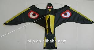 Resultado de imagem para bird scarer from china