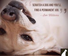 Pet Quotes on Pinterest | Old Dog Quotes, Puppy Quotes Funny and ... via Relatably.com