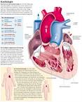 Fallot tetralogie symptome