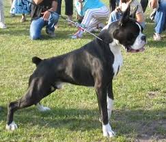 Image result for Crom dei Centurioni