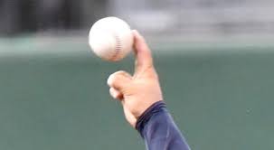 横浜が桐蔭学園、桐光学園が日大藤沢に勝利 夏の神奈川大会第１シード獲得 高校野球 春季神奈川県大会