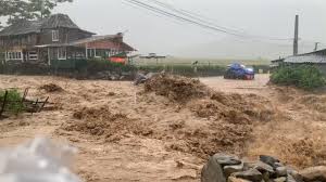 Báo VietNamNet - News update