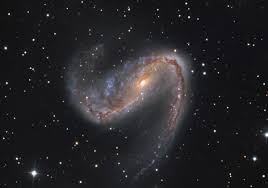 Image result for galaxy  NGC 2442