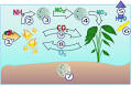 Azote nitrique - Forum FS Generation - Futura-Sciences