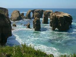 Image result for montana del oro
