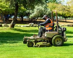 Image of Person mowing lawn