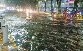 Deja tormenta anegaciones, caída de 18 árboles y cierres en el Metro