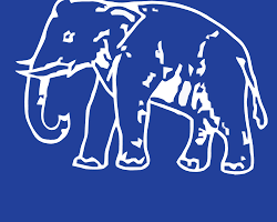 Bahujan Samaj Party (BSP)