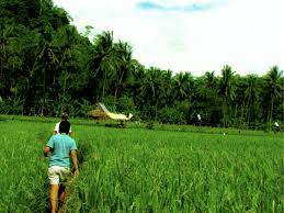 Hasil gambar untuk pecinta alam indonesia