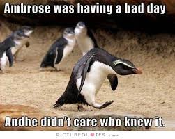 Ambrose was having a bad day and he didn&#39;t care who knew it via Relatably.com