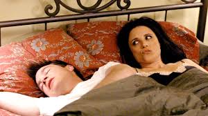 A list of Julia Louis-Dreyfus&#39;s previous successes. via Relatably.com