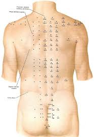 фото меридианов