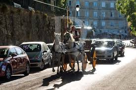 Resultado de imagem para charretes em sintra