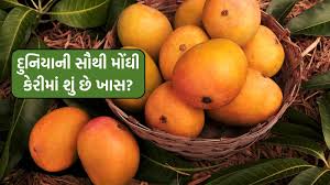 આ છે દુનિયાની સૌથી મોંઘી કેરી, જાણો કઈ છે આ ફળોનો રાજા!
