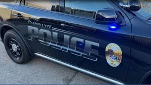 Arrest warrant issued for man accused of shooting cat in Garden City