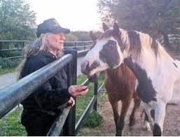 Miss Leah 💙💙💙💙💙💙💙💙 on X: "Willie Nelson rescues horses bound for slaughter and lets them live out their lives on his ranch - we lost Betty, but we still have Willie. ♥️