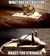 What doesn&#39;t kill you...makes you stronger (mouse exercising with ... via Relatably.com