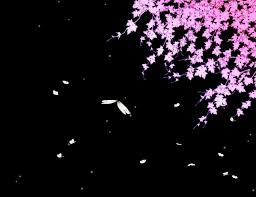Image result for animated butterflies wallpaper