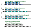 Vaterschaftstest verfahren