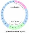 Calcul de cycle de regle