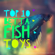 Image result for betta fish tank