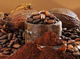 Resultado de imagen para feria de cacao coyoacan 2015