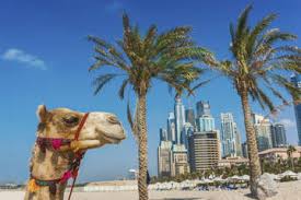 Image result for dubai tourism places