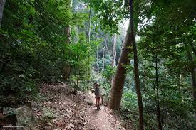 Tokeo la picha la udzungwa national park tanzania