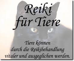 Bildergebnis für reiki für tiere bilder