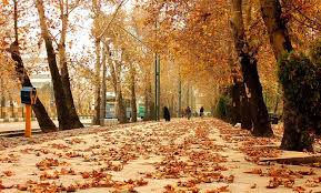پیش‌بینی هواشناسی استان فارس برای دو هفته آینده: هوا سردتر می‌شود