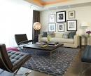 Contemporary rugs for living room