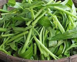 Gambar Rebus kangkung dalam air mendidih