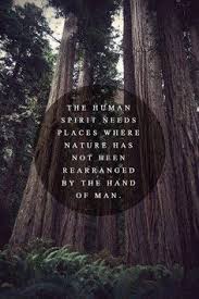 Environmental Quotations on Pinterest | Environment, Conservation ... via Relatably.com