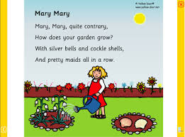 Image result for mary mary quite contrary