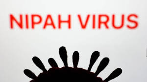 Nuevo Virus Nipah