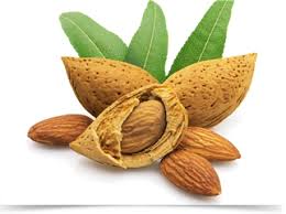 「杏仁果」的圖片搜尋結果