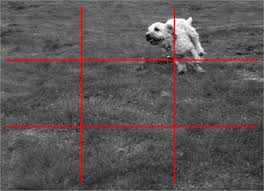 Image result for rule of thirds line of sight