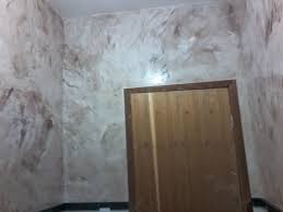 Resultado de imagem para foto marmorato