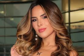Wanessa Camargo fala sobre carreira e futuro como apresentadora
