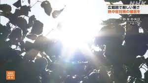 NHK - News update